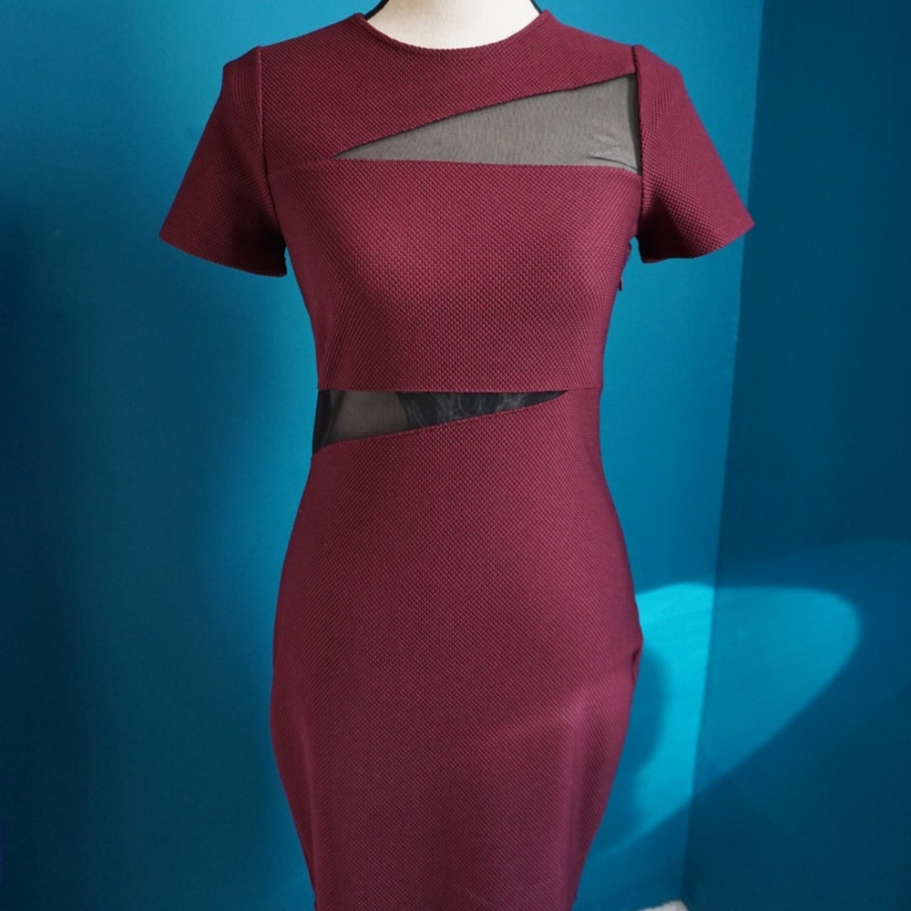 Express Bodycon dress
